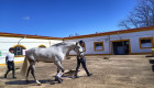 Torrejoncillo ultima los detalles de Ecuestre, una cita con el mucho del caballo