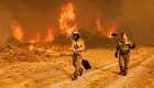 Asaja Extremadura critica la exclusión de varios incendios de las ayudas por zona catastrófica