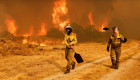 Asaja Extremadura critica la exclusión de varios incendios de las ayudas por zona catastrófica
