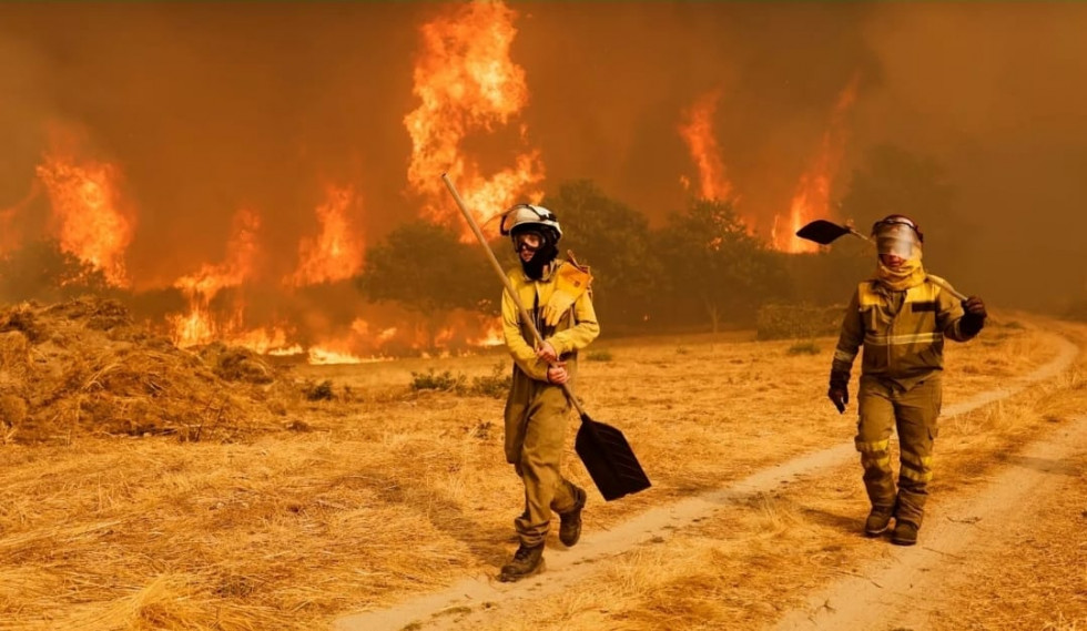 Asaja Extremadura critica la exclusión de varios incendios de las ayudas por zona catastrófica