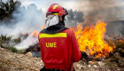 Los incendios forestales arrasan 45.000 hectáreas en Extremadura en agosto