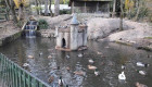 Plasencia inicia la rehabilitación del Parque de los Pinos para hacerlo más seguro y sostenible