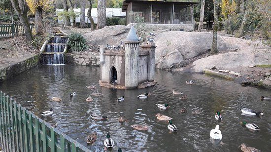 Plasencia inicia la rehabilitación del Parque de los Pinos para hacerlo más seguro y sostenible