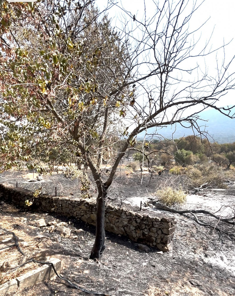 Apag Extremadura Asaja denuncia la falta de apoyo tras los incendios y exige ayudas inmediatas