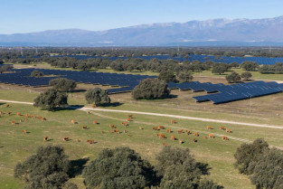 El proyecto fotovoltaico de Coria y Guijo de Coria ya tiene autorización ambiental