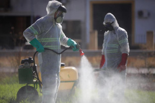 Confirmados en Extremadura tres nuevos casos de fiebre del Nilo Occidental
