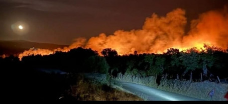 Medios terrestres tratan de frenar un incendio forestal en Perales de Puerto