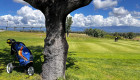 Un campeonato de golf y una ruta por la naturaleza para impulsar Talayuela
