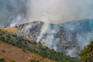 La Junta inicia los trabajos de restauración en las zonas incendiadas en Caminomorisco y Jarilla