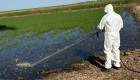 Las Vegas Altas del Guadiana contarán con ayudas para combatir la proliferación de mosquitos