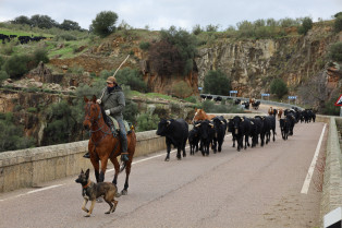 “En el campo no mandan los relojes, manda la luz del sol”: el sector agrario rechaza los cambios de hora