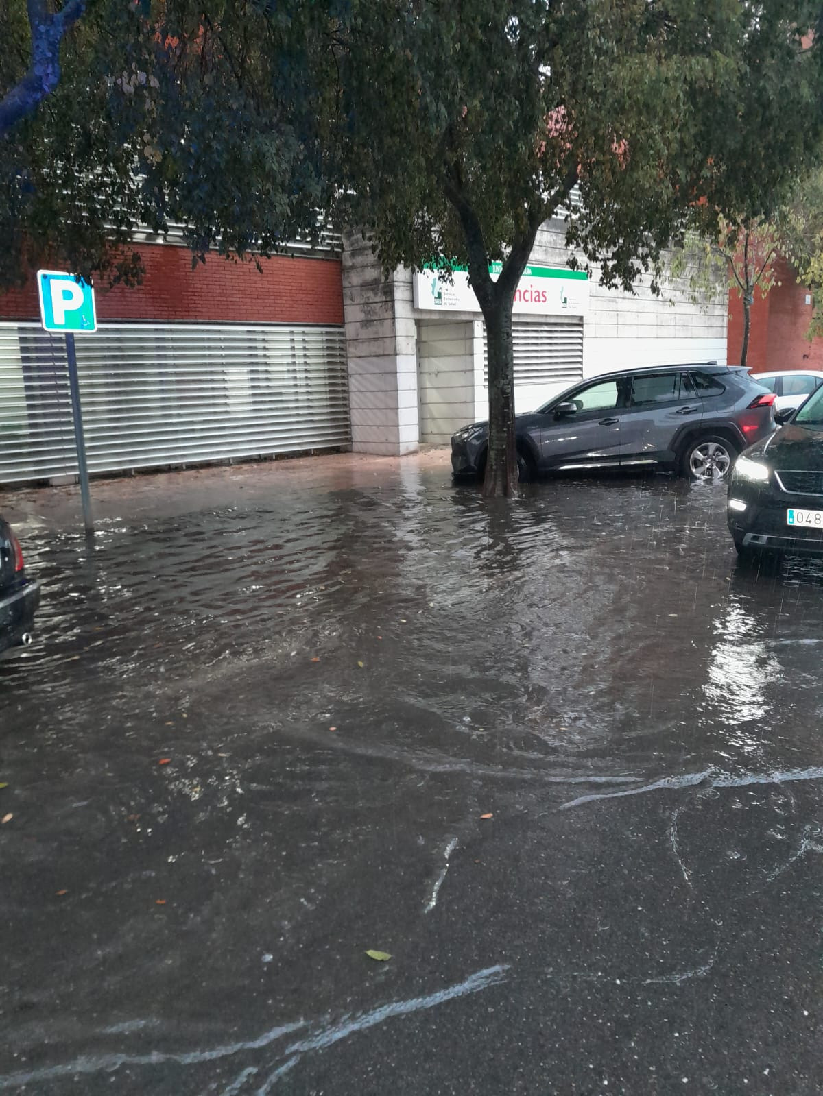 Temporal, Cu00e1ceres, Bomberos, 3