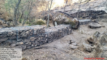 La Junta desestima el recurso de FONDENEX contra la declaración de zona urgente tras el incendio de Jarilla