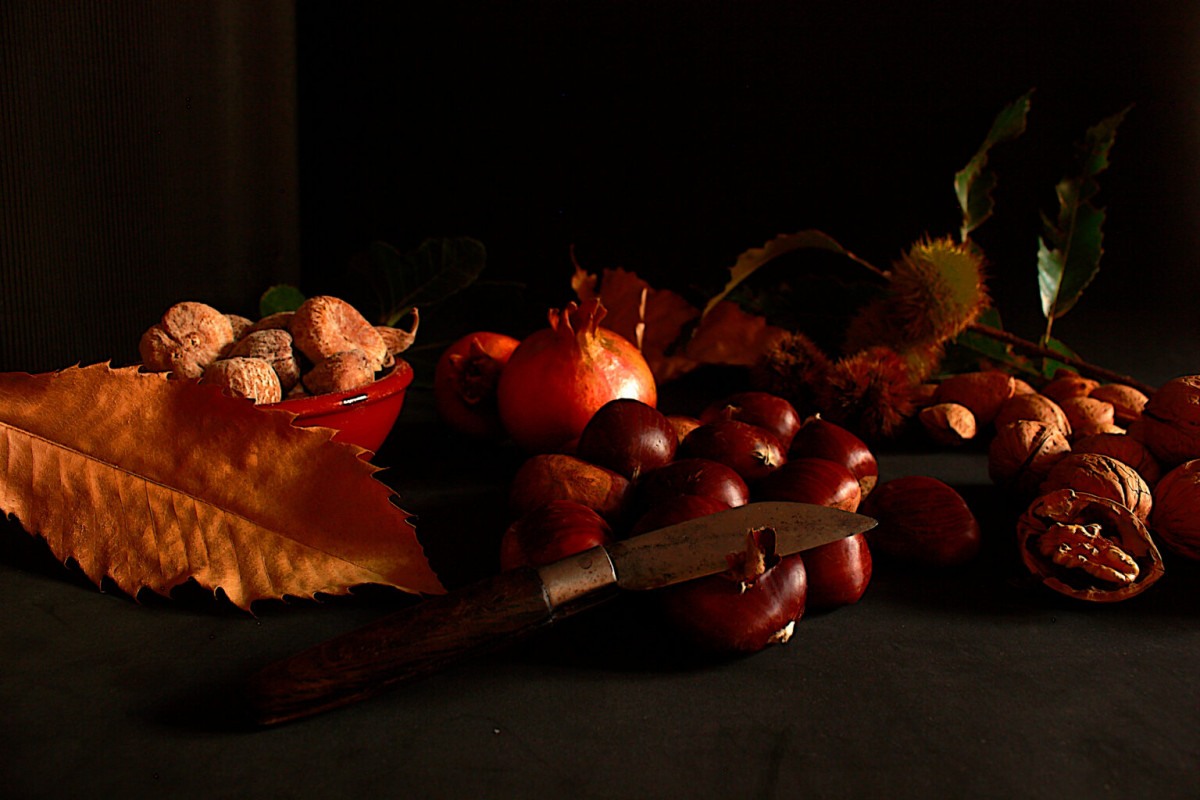 Seu00f1as de identidad, Fotografu00eda, Dip Cu00e1ceres, 2