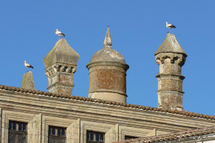Si tu municipio está en una ZEPA, estos son los cambios que podrían afectarte