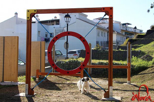 Nuevo espacio para los perros: abre el parque canino de Talayuela