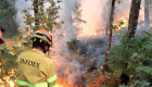 La Junta crea las 138 plazas de bomberos forestales que trabajarán todo el año