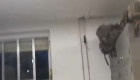 El Ejército de Tierra se compromete a erradicar las ratas del CEFOT 1 de Cáceres