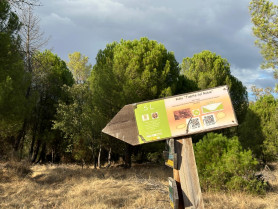 La historia antipalúdica de Talayuela, eje de su promoción turística en Fitur 2026