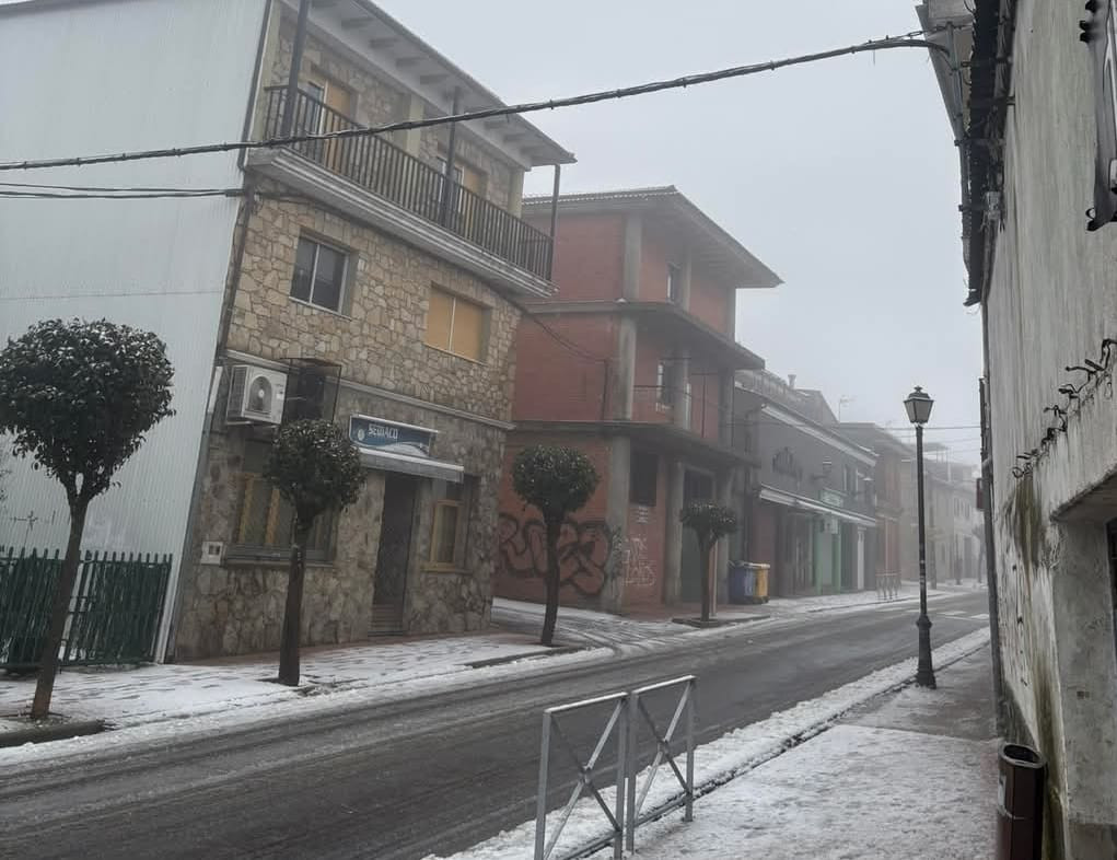 Nieve en piornal