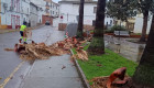 El parque municipal Castro Lozano de Navalmoral permanecerá cerrado por el temporal