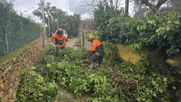 El plazo para aceptar las ayudas por las borrascas comienza este martes