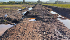 El temporal golpea al campo extremeño y agrava las pérdidas en agricultura y ganadería