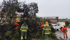 Rachas de hasta 90 km/h ponen en alerta al norte de la provincia de Cáceres
