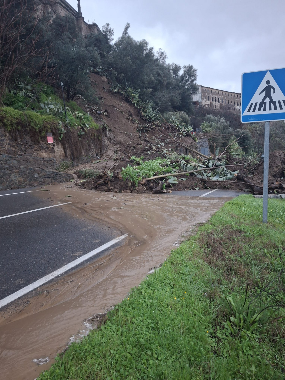 Desprendimiento coria lluvias
