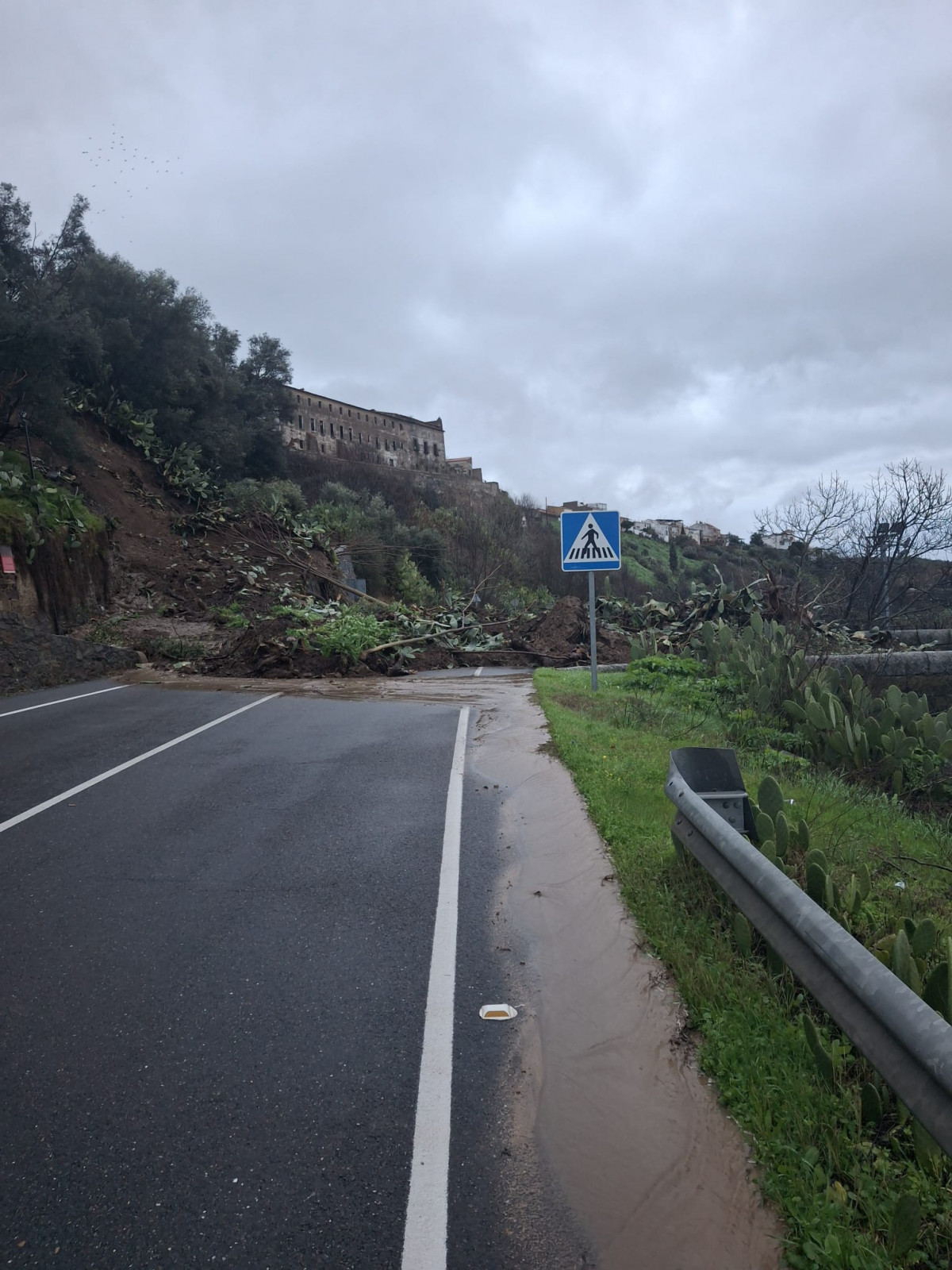 Desprendimiento coria