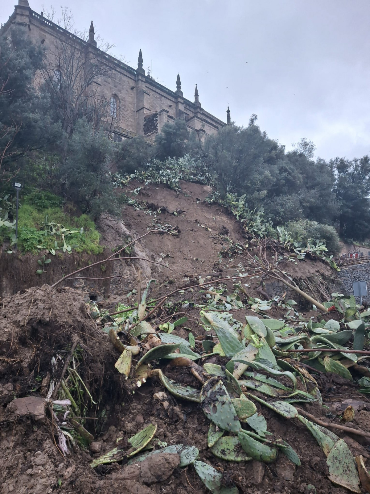Desprendimiento ladera coria