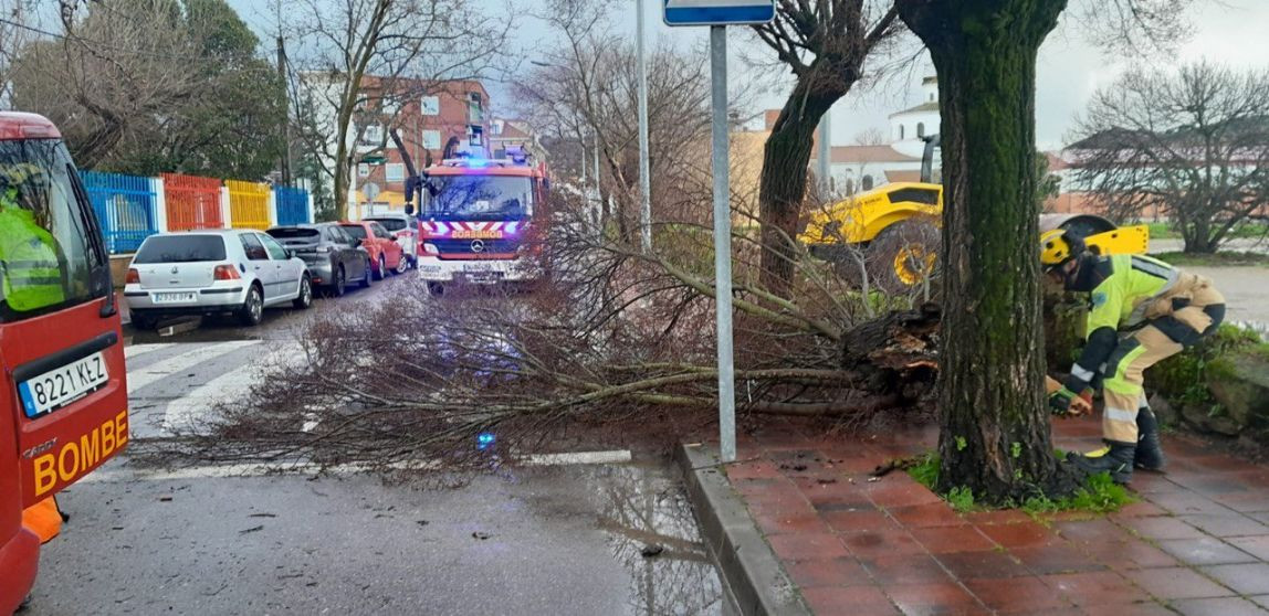 Actuaciones SEPEI jueves 5