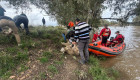 Consiguen salvar a cien ovejas aisladas por la crecida del Guadiana en Badajoz
