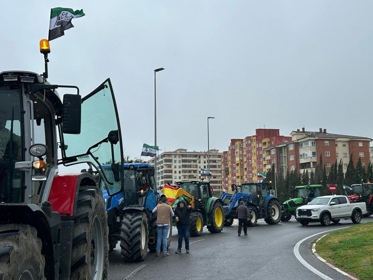 Manifestacion caceres