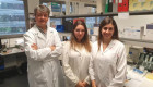 Investigadores de la UEx descubren el papel clave de una proteína en la salud celular