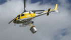 Llevan alimento en helicóptero a las 480 ovejas aisladas por las lluvias en el Guadiana