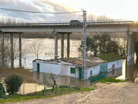 El río Alagón en Coria alcanza 4,29 metros y el 140 % de su caudal