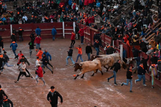Fallece un hombre corneado en Ciudad Rodrigo durante el Carnaval del Toro