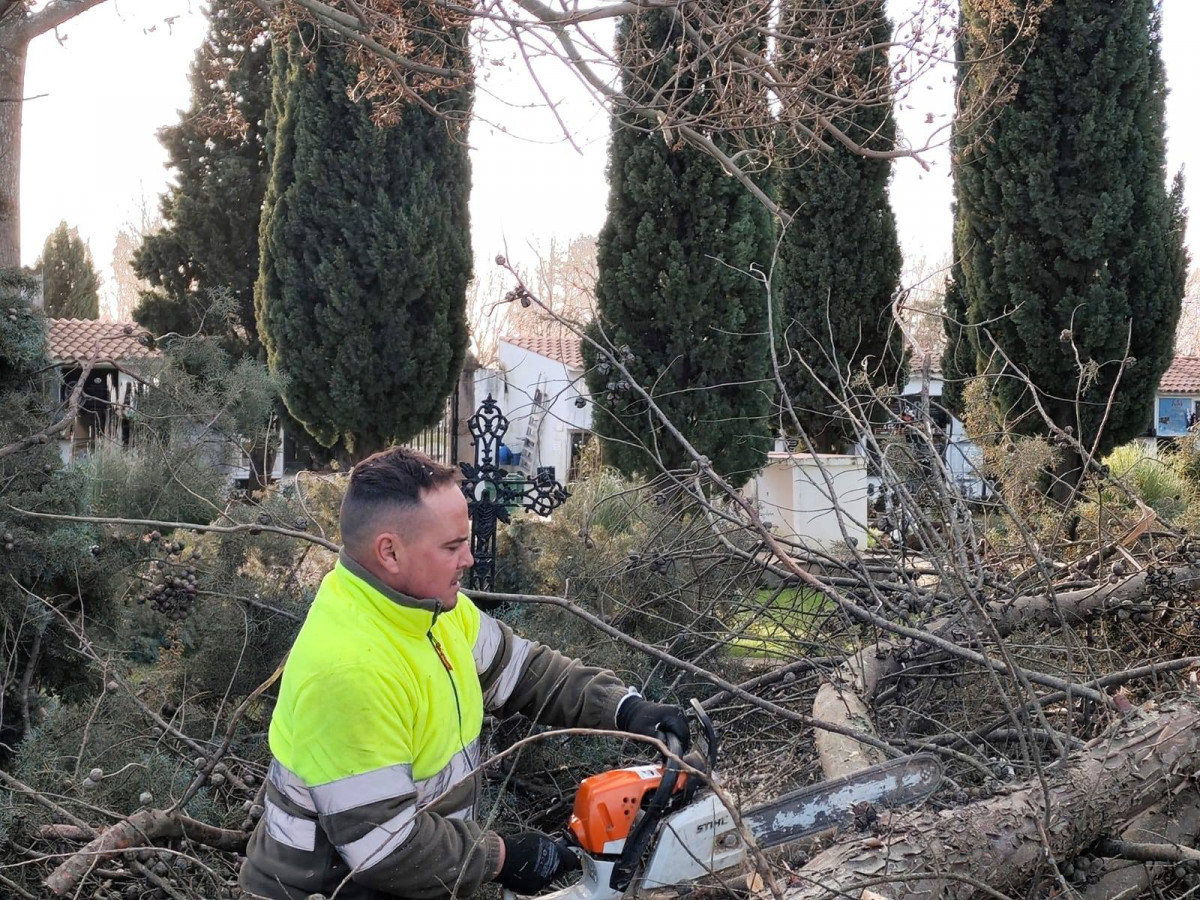 Cementerio moraleja 2
