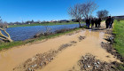 El temporal golpea al campo extremeño y el Gobierno anuncia ayudas urgentes