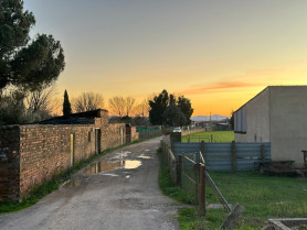 Un hombre de 92 años pierde un brazo tras atacarle su perro en Moraleja