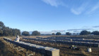 Statkraft pone en marcha en Talayuela su primer proyecto de apivoltaica
