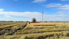UPA-UCE Extremadura alerta: las importaciones masiva de arroz amenazan al sector