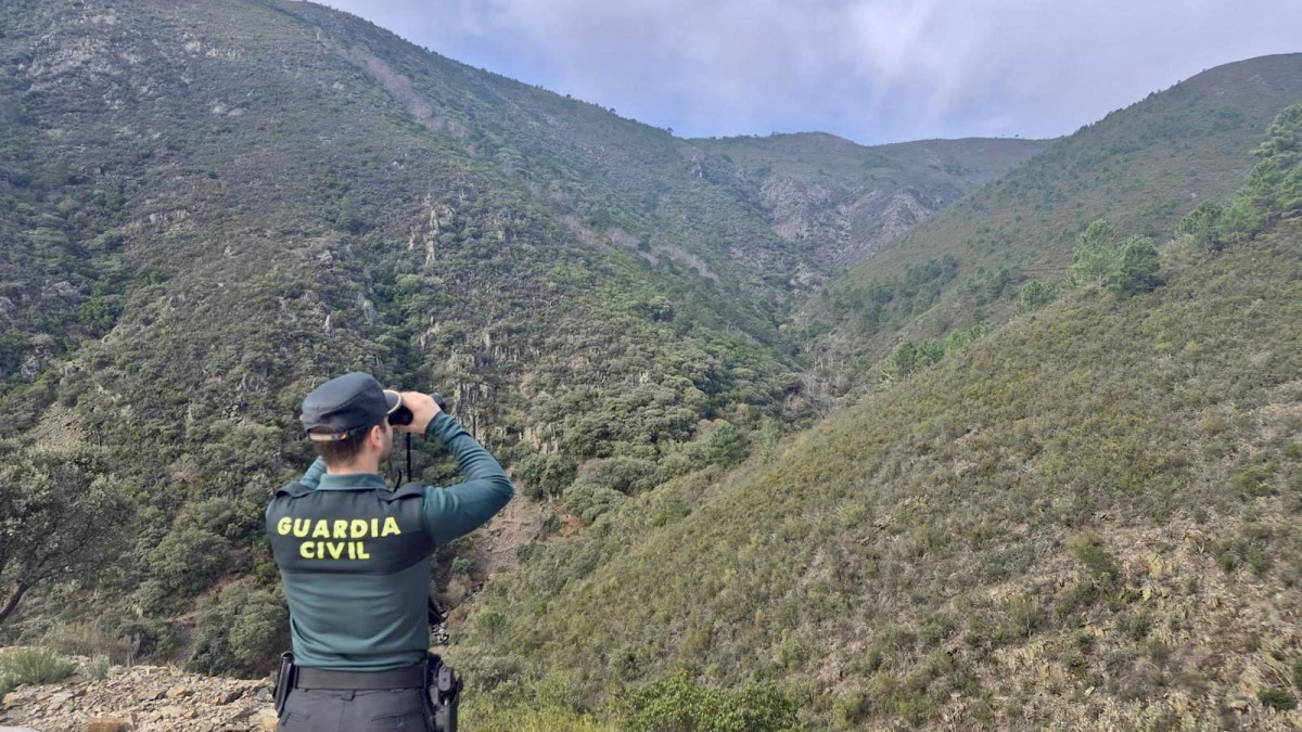GUARDIA CIVIL BUSQUEDA