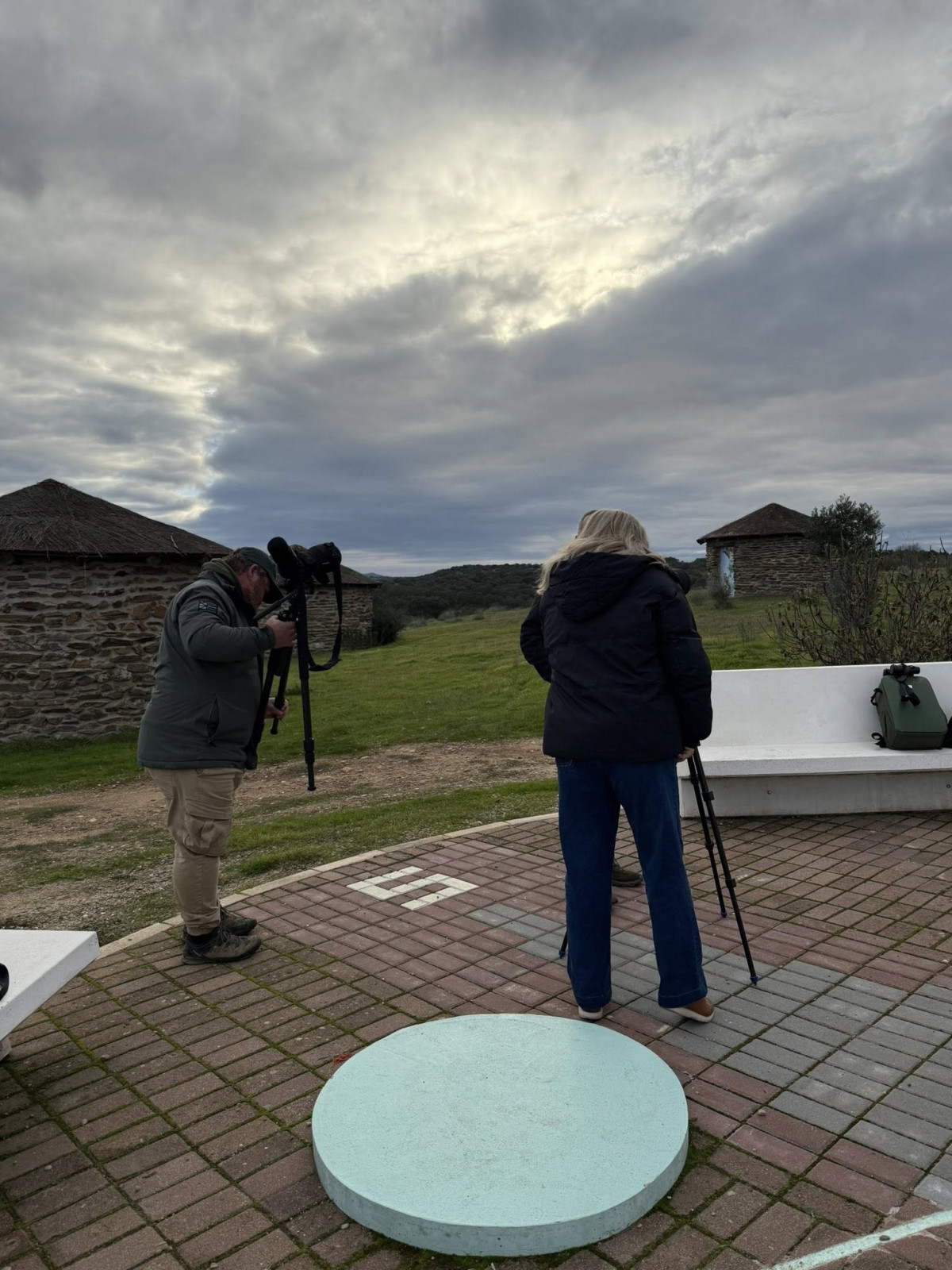 Aves moraleja el chorreron