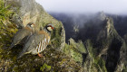 Fernando Prieto gana por segunda vez el concurso fotográfico de aves de FIO