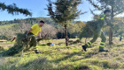 Estas son las restricciones a la quema de restos vegetales por riesgo de incendios