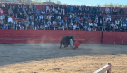 Coria se convertirá este fin de semana en capital del mundo del toro
