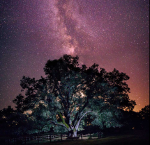 Entre encinas y constelaciones: el secreto mejor guardado de Fregenal de la Sierra
