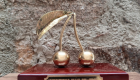 Llegan las Cerezas de Oro del Valle del Jerte y estos son los premiados